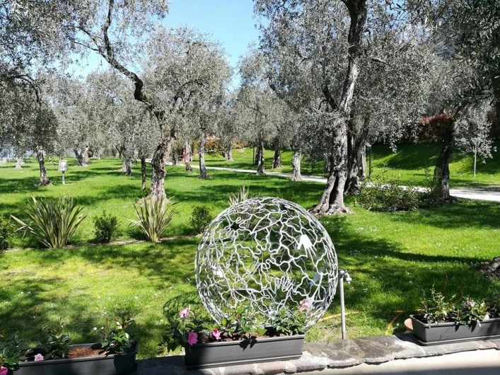 zobacz camping - zdjęcie 11