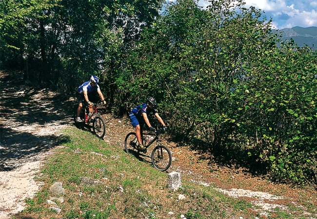 zobacz camping - zdjęcie 8