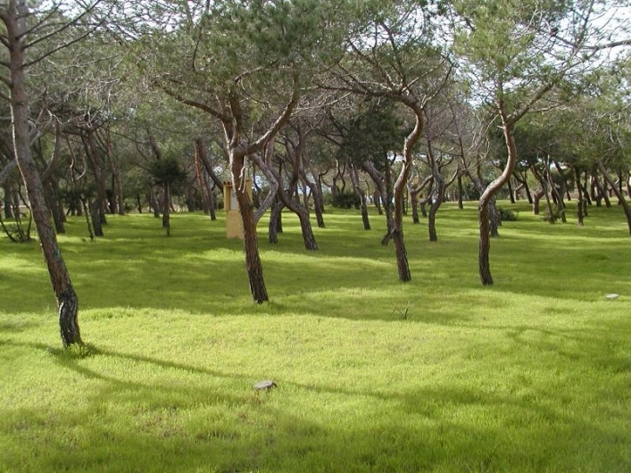 zobacz camping - zdjęcie 41