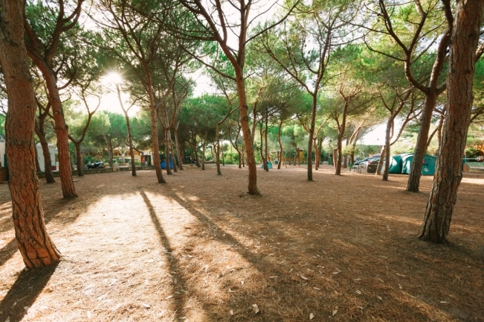 zobacz camping - zdjęcie 36