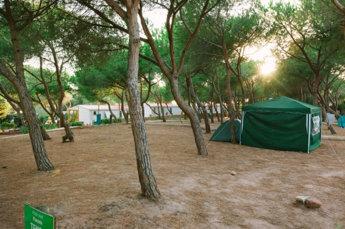 zobacz camping - zdjęcie 23