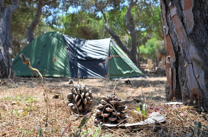 zobacz camping - zdjęcie 19