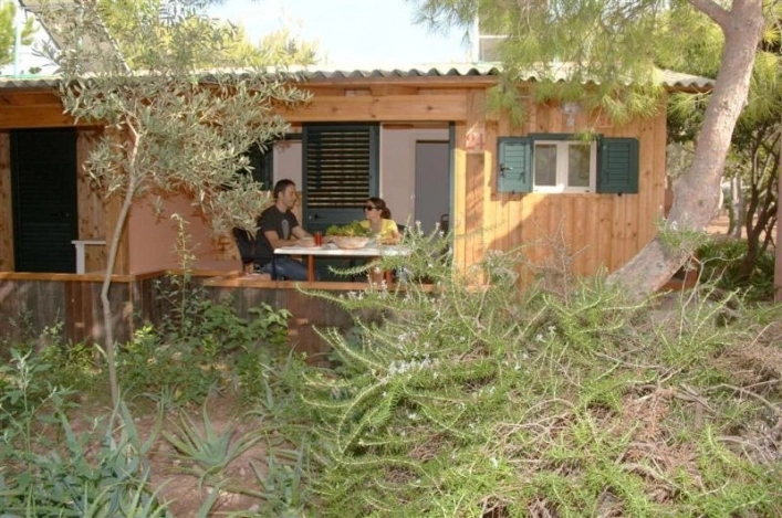 zobacz camping - zdjęcie 12