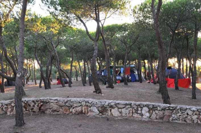 Camping Torre del Porticciolo - zdjęcie 1