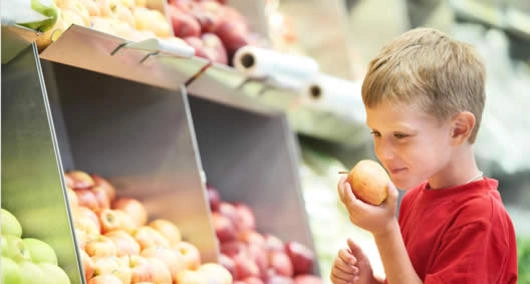 zobacz camping - zdjęcie 14