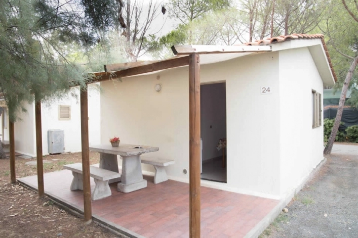 zobacz camping - zdjęcie 13