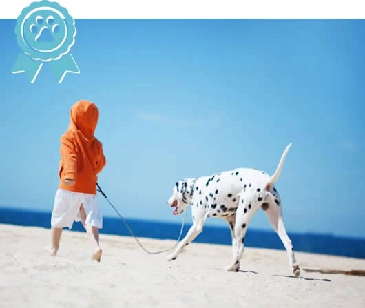 zobacz camping - zdjęcie 11