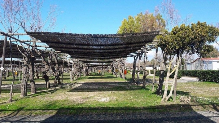 zobacz camping - zdjęcie 31