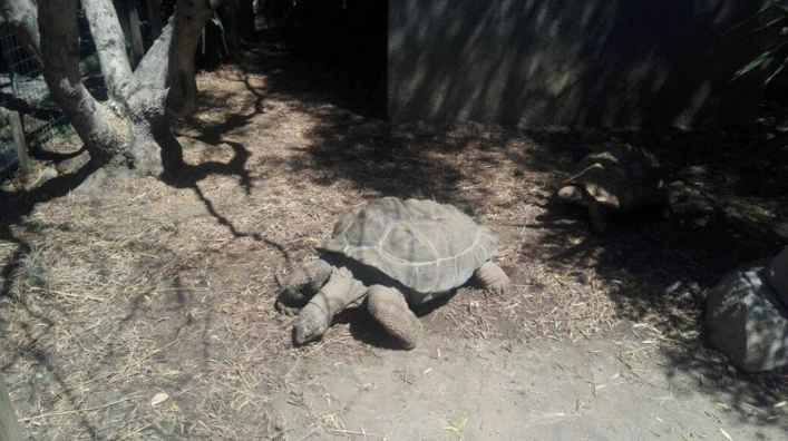 zobacz camping - zdjęcie 26