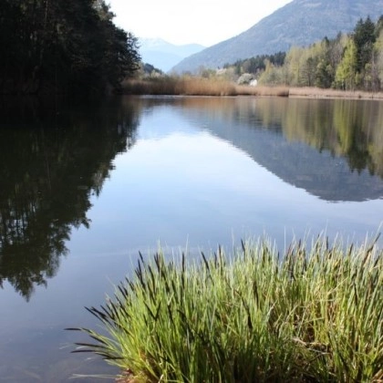 Camping Vahrner See - zdjęcie 4