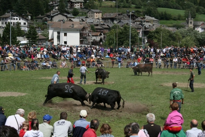 zobacz camping - zdjęcie 24