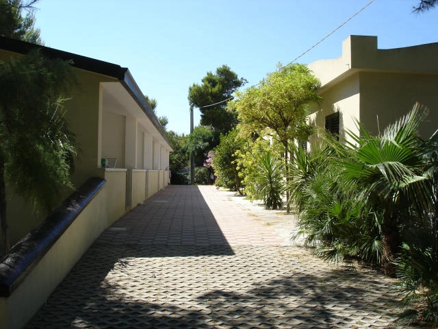 Camping Umbramare - zdjęcie 1