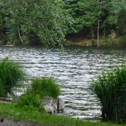 zobacz camping - zdjęcie 16