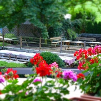 zobacz camping - zdjęcie 2