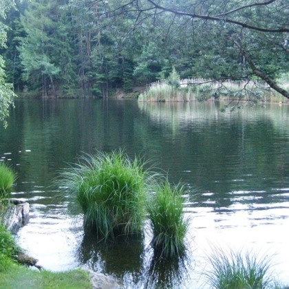 zobacz camping - zdjęcie 1