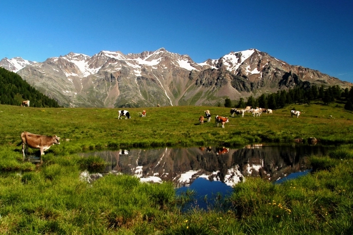 zobacz camping - zdjęcie 21