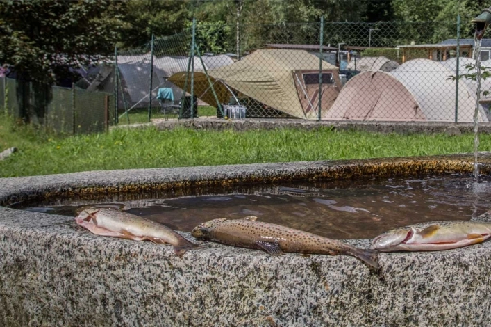 zobacz camping - zdjęcie 12