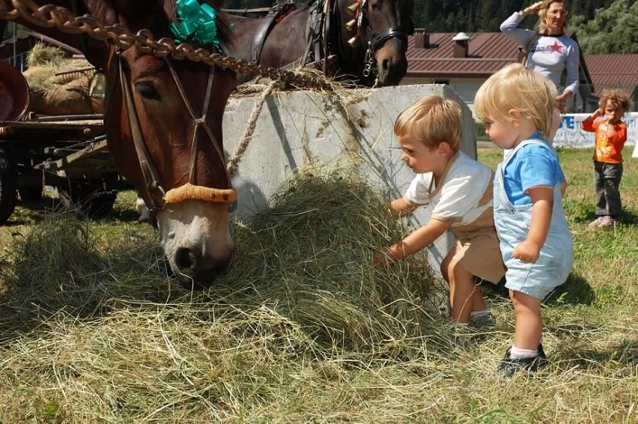 Camping Val Rendena - zdjęcie 4