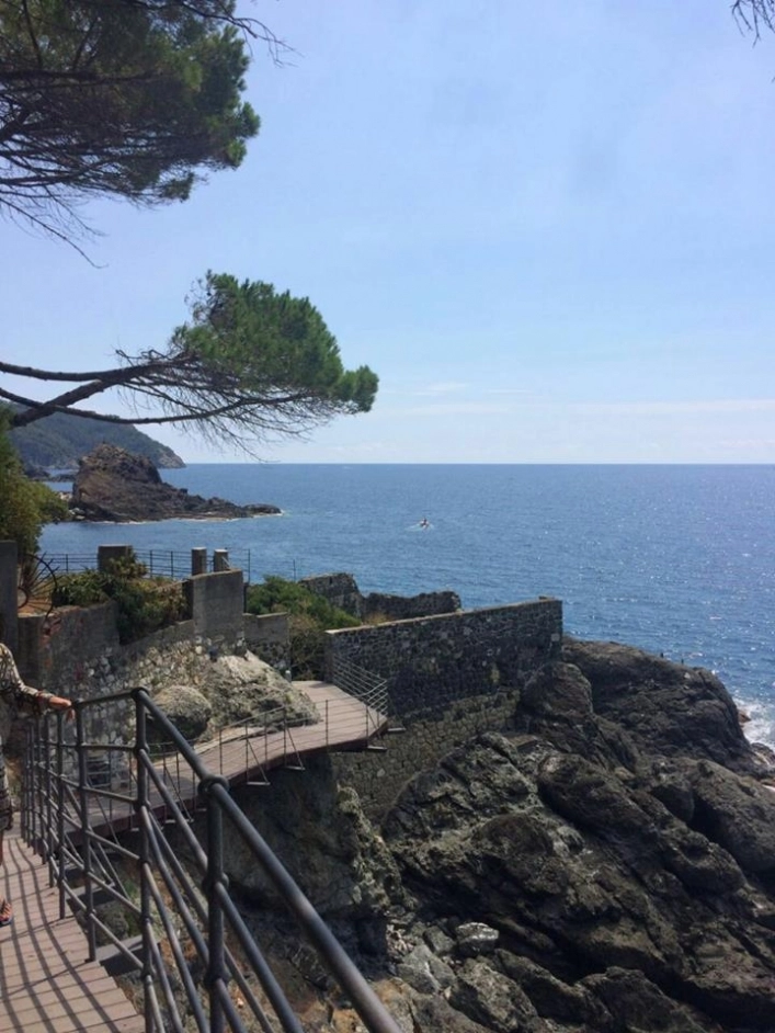 zobacz camping - zdjęcie 14