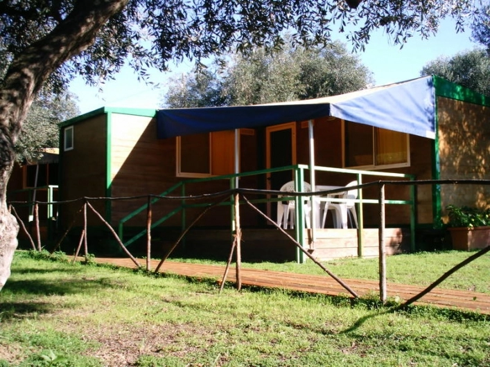 zobacz camping - zdjęcie 14