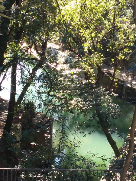 zobacz camping - zdjęcie 37