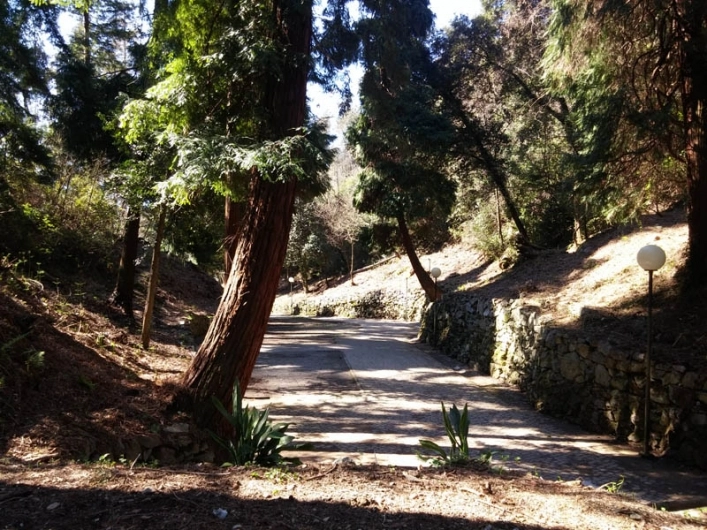 zobacz camping - zdjęcie 30