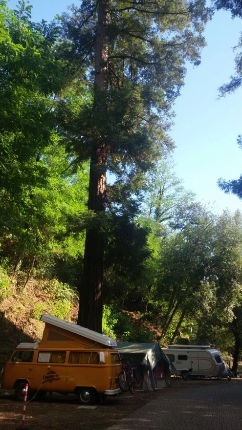 zobacz camping - zdjęcie 26