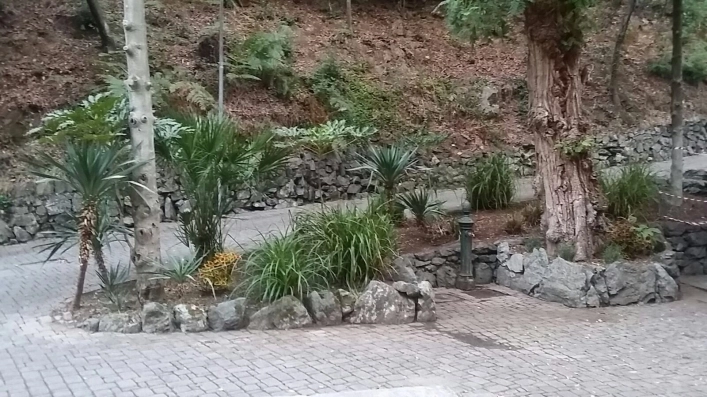 zobacz camping - zdjęcie 24