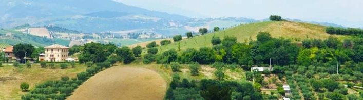 zobacz camping - zdjęcie 47