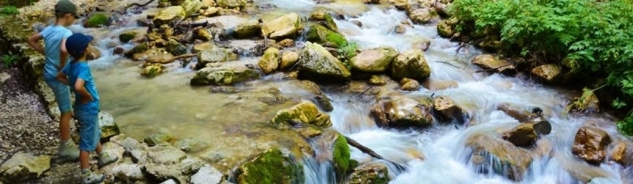 zobacz camping - zdjęcie 34