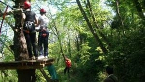 zobacz camping - zdjęcie 11