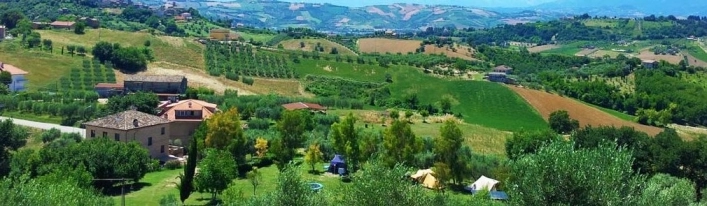 zobacz camping - zdjęcie 4