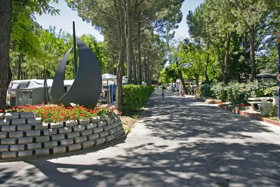 zobacz camping - zdjęcie 32