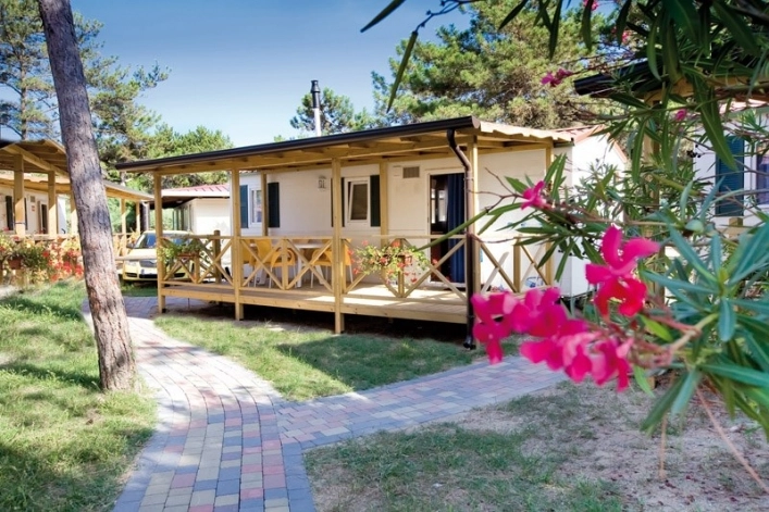 zobacz camping - zdjęcie 24