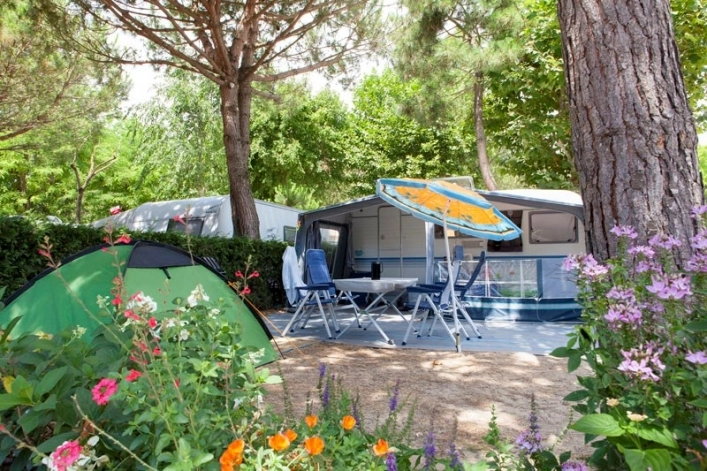 zobacz camping - zdjęcie 20