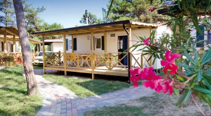 zobacz camping - zdjęcie 2