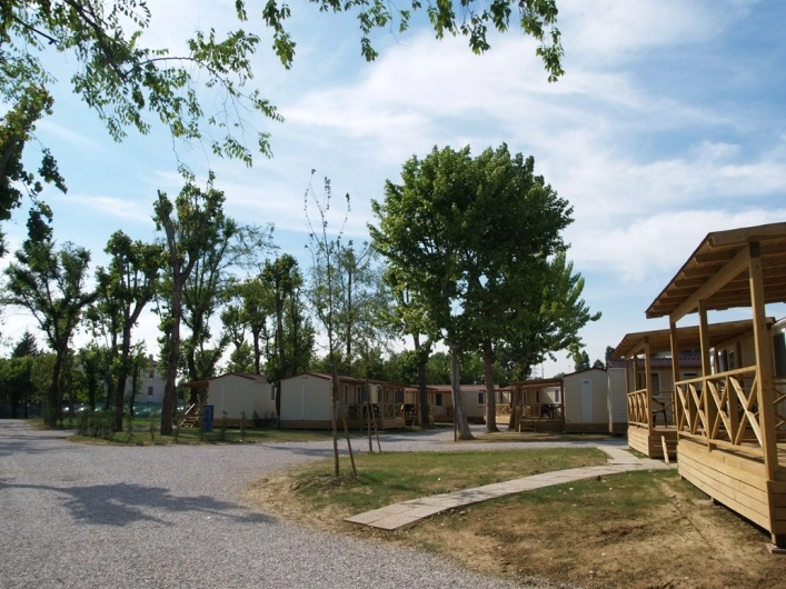 zobacz camping - zdjęcie 9
