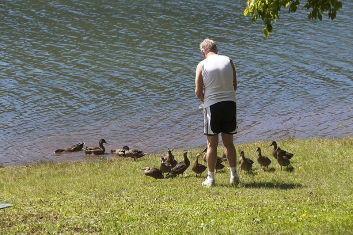 zobacz camping - zdjęcie 4