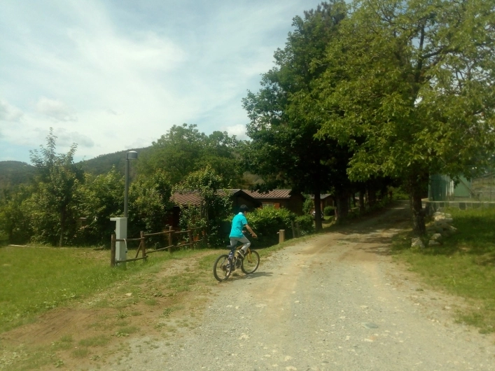 zobacz camping - zdjęcie 24