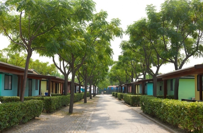 zobacz camping - zdjęcie 15