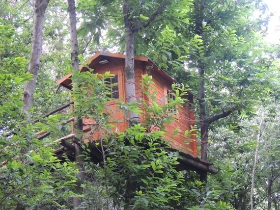 zobacz camping - zdjęcie 17