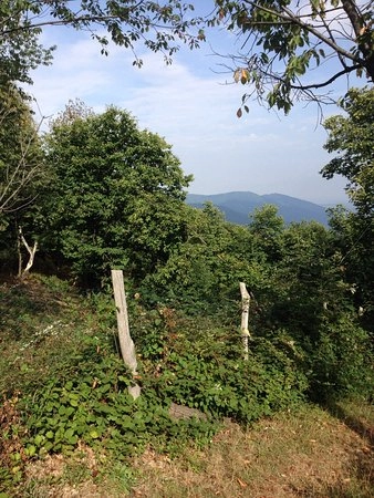 zobacz camping - zdjęcie 12