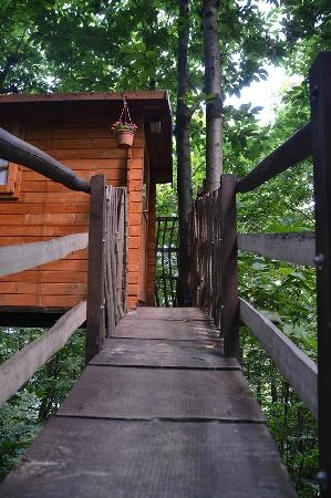 Camping Verna - zdjęcie 3