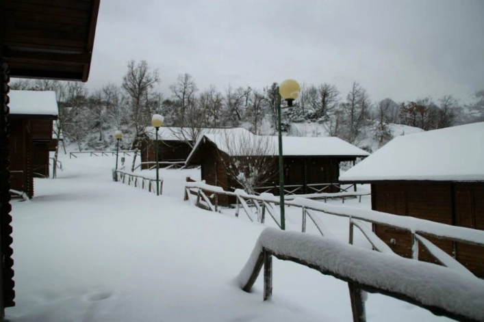 zobacz camping - zdjęcie 47