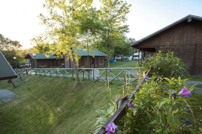 zobacz camping - zdjęcie 45