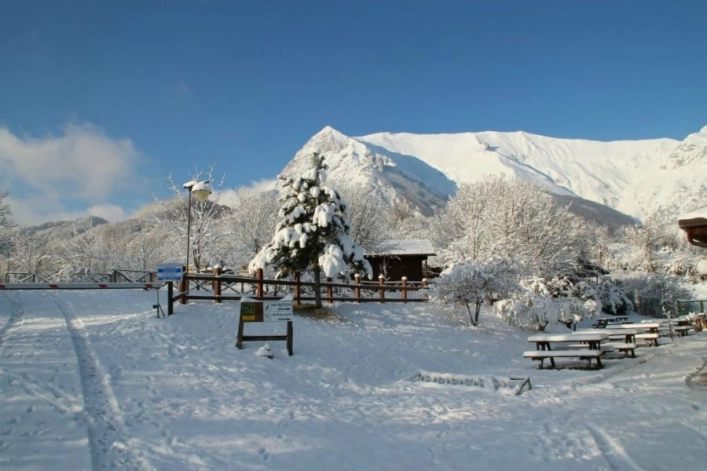 zobacz camping - zdjęcie 35