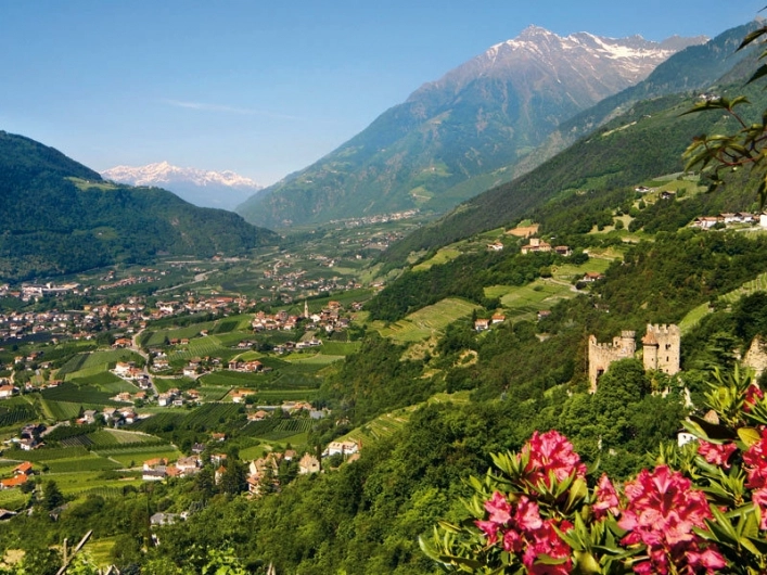 zobacz camping - zdjęcie 21