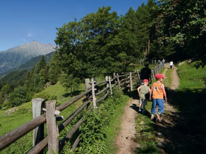 zobacz camping - zdjęcie 20