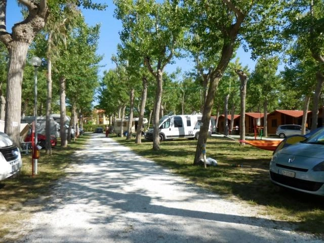 zobacz camping - zdjęcie 22