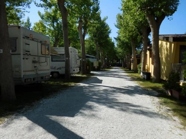 zobacz camping - zdjęcie 20